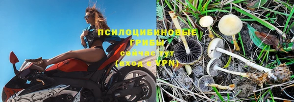 ПСИЛОЦИБИНОВЫЕ ГРИБЫ Алексеевка